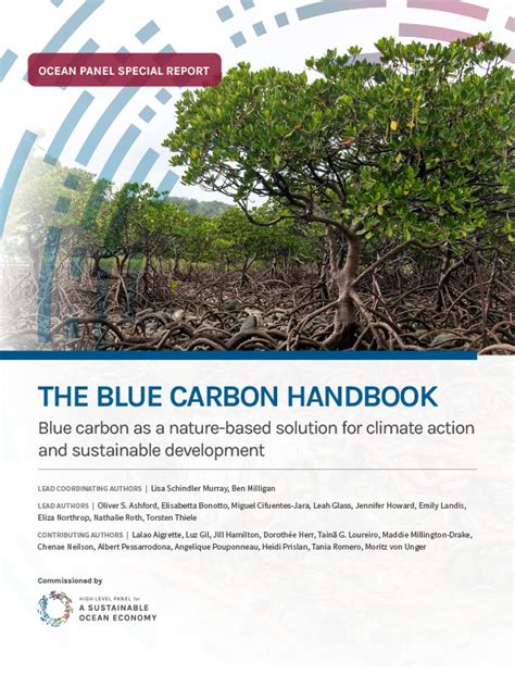 New Guide To Blue Carbon Ecosystems And The Benefits They Provide To