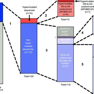 Analysis Of Mutation Characteristics In 514 HIV 1 Env Sequences From