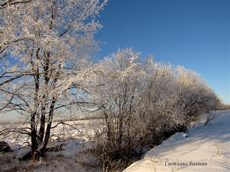 Wallpaper Landscape Nature Sky Snow Winter Clouds Branch Ice