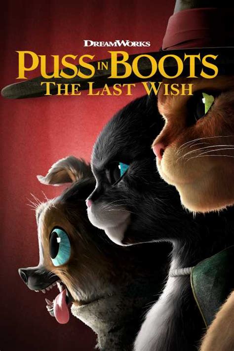 Puss In Boots The Last Wish 2022 Diiivoy The Poster Database Tpdb