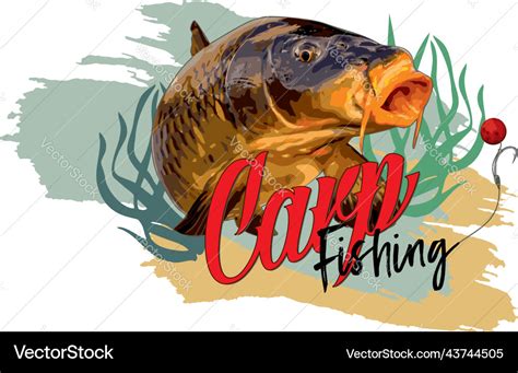 Carp fishing Royalty Free Vector Image - VectorStock