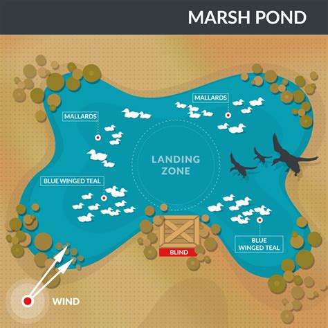 How To Set Up Duck Decoys