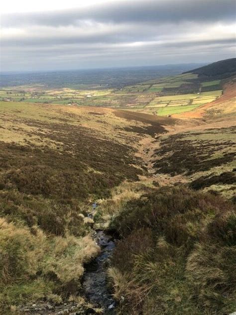 Mount Leinster Loop Walk Wild Irish Walks