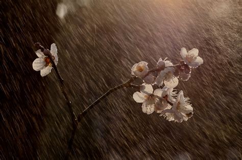 Meteo Equinozio Di Primavera Con Temporali Lampo