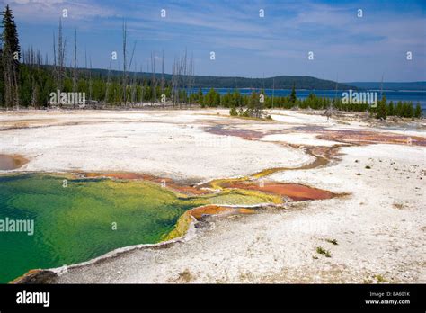 Abyss Pool West Thumb Geyser Basin Yellowstone Lake Yellowstone