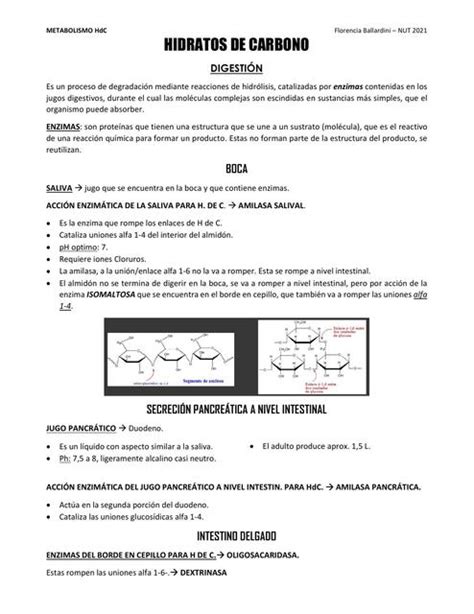 Hidratos De Carbono Florencia Ballardini Udocz