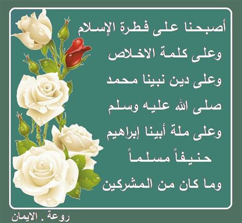 Pin by Khaled Bahnasawy on Remembrances أذكار Flowers Plants Rose