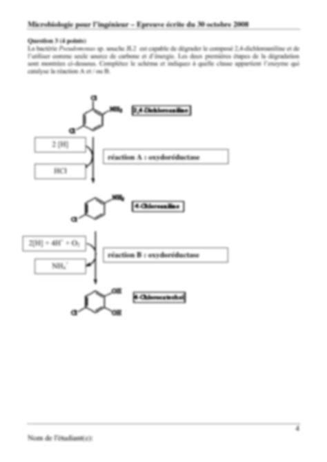 Solution Microbiologie Examen Corrig Studypool