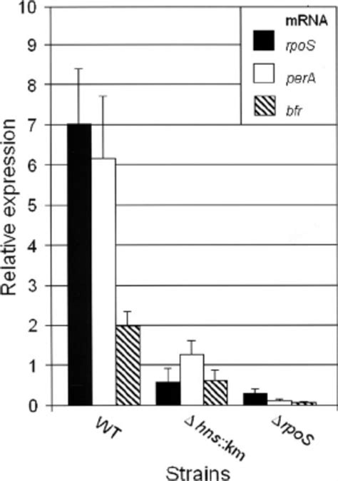 Qrt Pcr Analysis Of Rpos Expression In An Hns Mutant Strains C7258