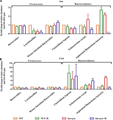 Frontiers Rotenone Aggravates Pd Like Pathology In A53t Mutant Human