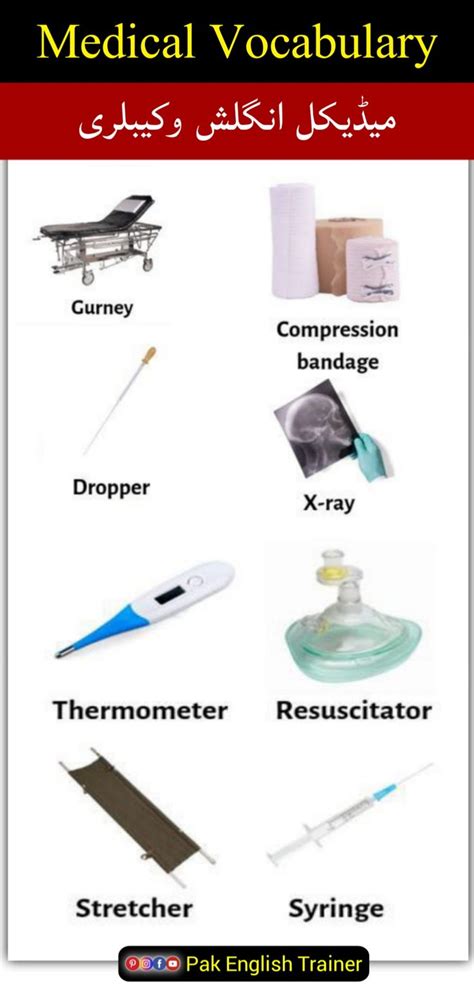 Learn Medical Vocabulary In English And Urdu