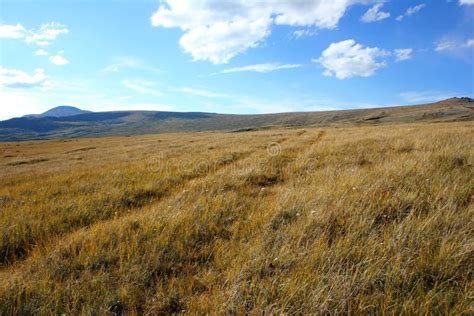 Grassland, Ecosystem, Prairie, Steppe Picture. Image: 111643323