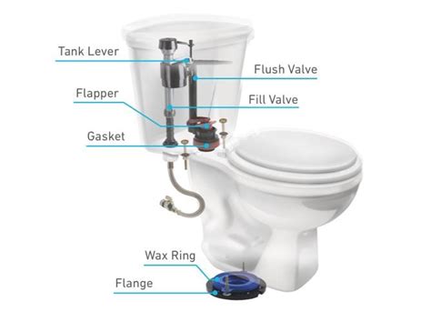 Toilet Anatomy And Common Problems Adept Plumbing And Gas