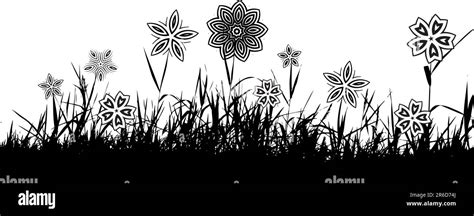 Grass silhouette background Stock Vector Image & Art - Alamy