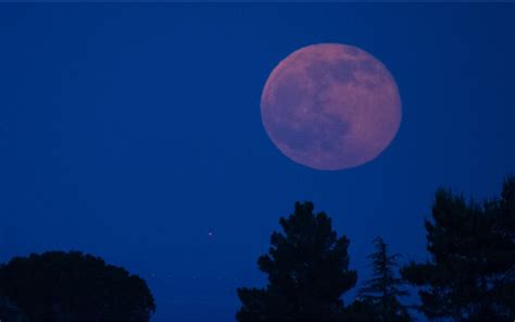 Descubre cuándo y a qué hora podrás disfrutar de la Luna Rosa en México