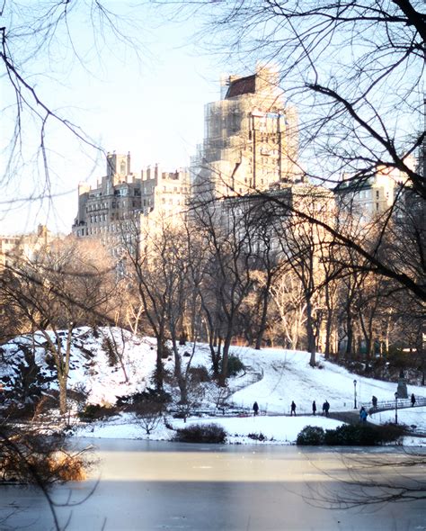 snowy central park - Mariannan