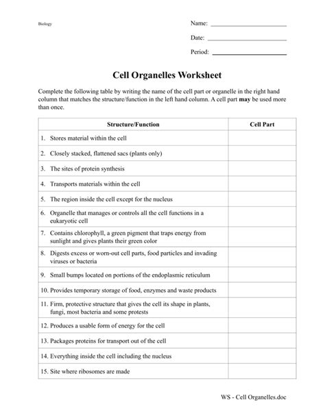 Biology Cell Organelles Worksheet Printable Word Searches