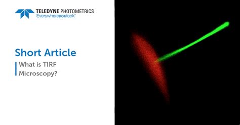 What Is TIRF Microscopy?