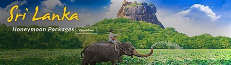 Sri Lanka Honeymoon Get Great Offers On Sri Lanka Honeymoon Packages