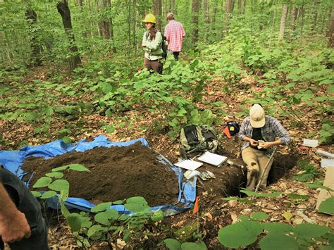 Femc Project Vermont Long Term Soil Monitoring Program Overview