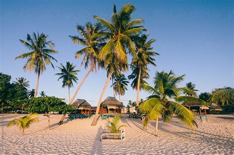 Tropical Island Huts