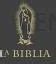 La Biblia Católica Edición Letra Grande Piel Especial Negra