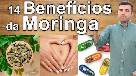 14 Benefícios e Propriedades da Moringa Para Sua Saúde CONFIRA