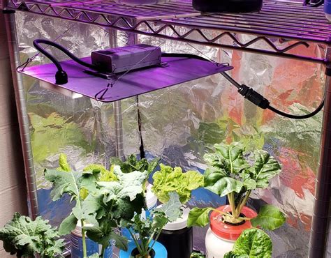 Spider Farmer Sf Led Grow Light Review