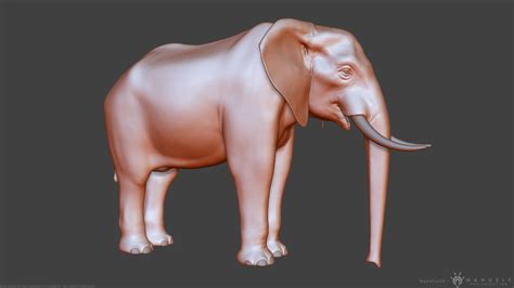 ArtStation - African Bush Elephant | Resources