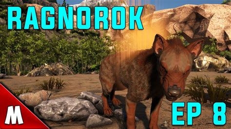 Ark Survival Evolved Ragnarok Ep 8 Hyaenodon Taming And Moving