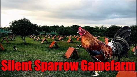 Lets Visit The Farm Of Silent Sparrow Gamefarm Youtube