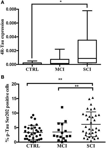 Frontiers Tau Protein In Oral Mucosa And Cognitive State A Cross