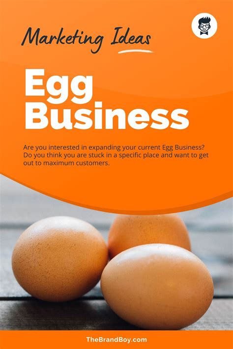 25 Actionable Egg Business Marketing Ideas Marketing Strategy