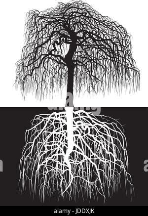 Whole Black Tree With Roots Isolated White Background Vector Stock