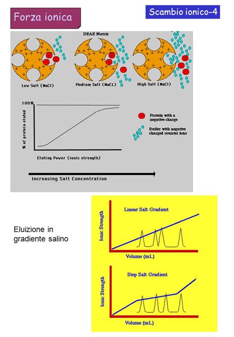 Fase Diretta 1 Tecniche Di Separazione E Tipi Di Fasi In Cromatografia