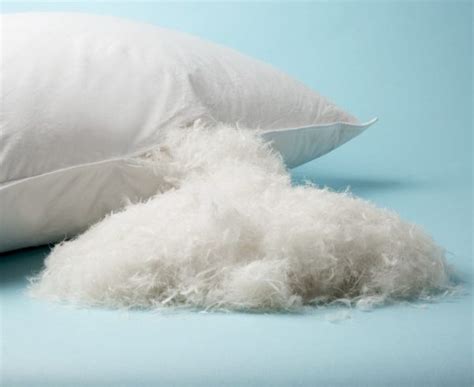 GOOSE FEATHER PILLOW - Malaysia's Best Online Fabric Store - Kamdar