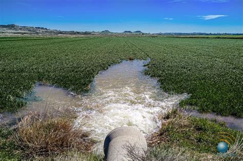 Gestion Del Agua En Regadíos