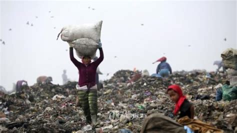 Waste And Health Skin Disease Suffered By Waste Pickers In Several