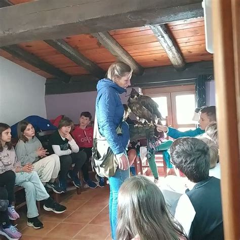 Zoo del Pirineu on Twitter Què fem si plou i ens visita una escola