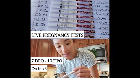 Ttc Cycle 3 7dpo 13dpo Live Pregnancy Tests Youtube