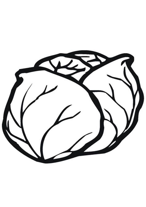 Cabbage Vegetable Coloring Page for Kids