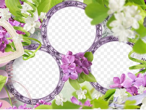 Collage Frame Png Images PNGEgg 45 OFF Gbu Taganskij Ru