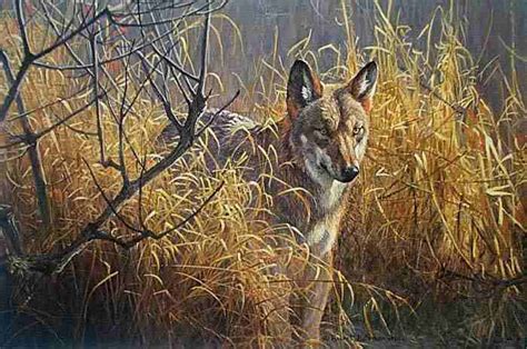 Red Wolf Painting at PaintingValley.com | Explore collection of Red ...