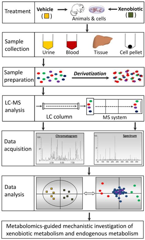 LC MS BASED METABOLOMICS OF XENOBIOTIC INDUCED TOXICITIES