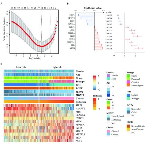 Identification Of A 12 Gene Risk Signature For OS By LASSO Regression