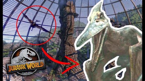 Pteranodons Compies And More Return To Jurassic Park Jurassic World Evolution Youtube