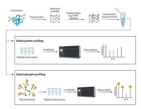 Approach Proteome Exploration Laboratory