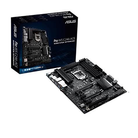 Asus Pro Ws C246 Ace Atx Workstation Motherboard Au