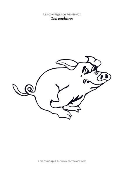 Coloriage cochon à imprimer en PDF Dessin cochon à colorier gratuit