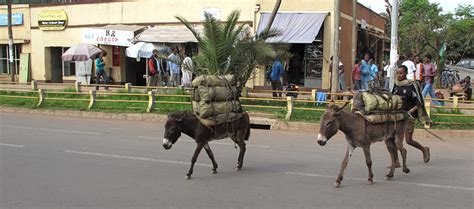 Bahir Dar City Ethiopia